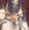 Dad Elk Jim-Auck Oct 1975.jpg (446500 bytes)