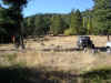 Deer Camp 2006-2-a.jpg (157811 bytes)