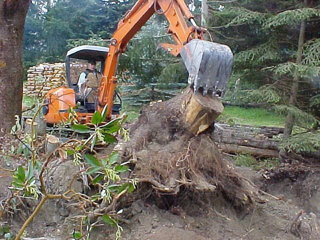MVC-006F.JPG (96083 bytes)